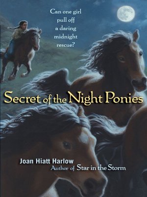 cover image of Secret of the Night Ponies